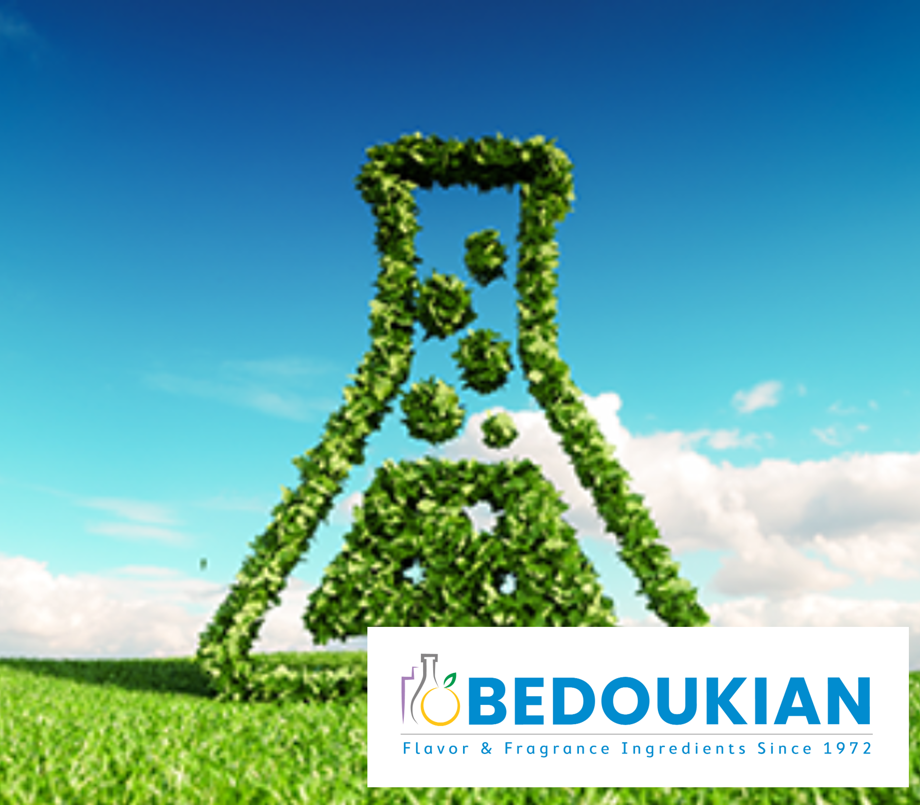 ベドキアン社「ニュースレター：再生由来カーボンで築くサステナブルな未来」